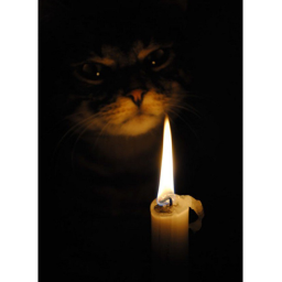 Evil candle club's Place Number: 0