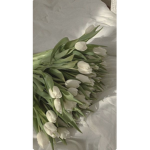 ~Sweet Rose Adopt Me Giveaways~