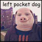 left pocket dog Group Thumbnail