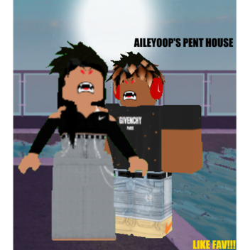 Luxury Pent House