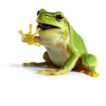 Frogs n' Fairies Crew