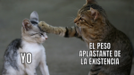 -OFICIAL-Fans de BENJA