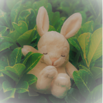 CoolRabbits