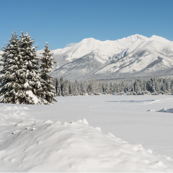 The Cold Snow