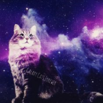 Galaxy Kittens!