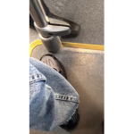 Nur meine 3 Brüder Hayde