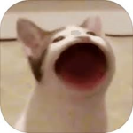 PusheenAndFriends
