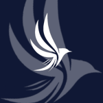 flyOriole
