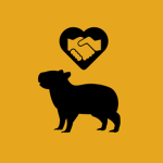 Capybaran Foreign Affairs Office