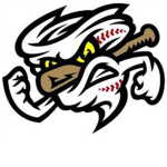 Michigan Cyclones Basebal Club