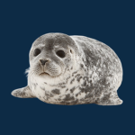 Seal Developer Games