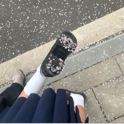 ♬
