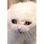 ~ Depressed ~
