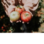 Eat apples!