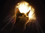 [TMRC] The Moorunner's Call Foundation