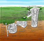 Missile Silo 831