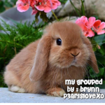 My grouped