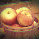 ｈｏｎｅｙ ｃｒｉｓｐ ａｐｐｌｅｓ