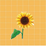 *~{Sunflower Squad}~*