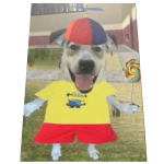 Roblox entity thumbnail