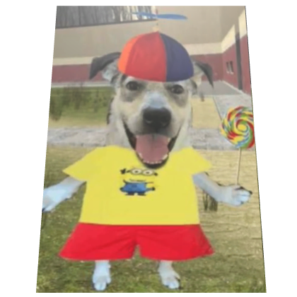 Funny Lollipop Dog with Propeller Hat Meme Cape