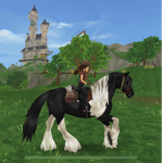 Molly’s horse camp!