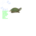 Turtles are Good