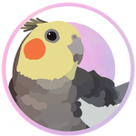 Cockatiel Studio