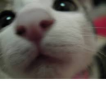 marbles!!!