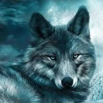 Wolf RULERS