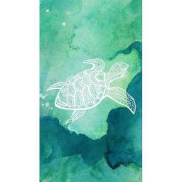 TURTLE