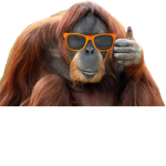 monkeys_biz studios