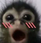 I luv ashkash Group Thumbnail