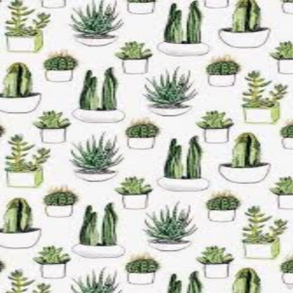 Cactus background Roblox decal