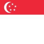 Singapore Soldiers