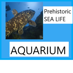 Prehistoric Sea Life Museum