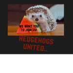 Hedgehogs United..