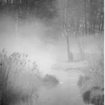 clear mist