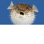 The pufferfish army
