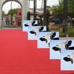 Cow Force Secret Base