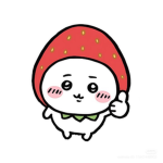 Chiikawa fans