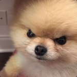 giveaway.s