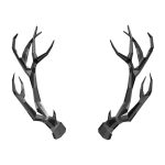 Silver Sparkle Time Antlers