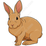 Bunnyplaz