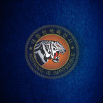 707th Special Mission Republic of Korea Army