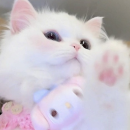 ♡