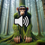 MonkeyBoiStudioz