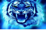 TheGamingSproutClan