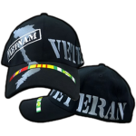 VIETNAM VETERAN