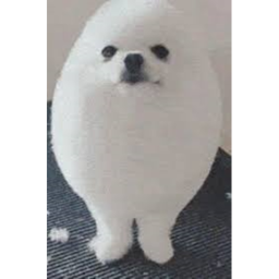 Roblox Pre School
